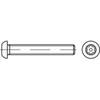 Button head security screw metric TX Stainless steel A2, six lobe drive + pin